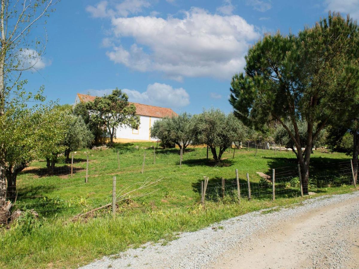 House With Authentic Tiling And Antique Furniture Villa Montemor-o-Novo Exterior photo
