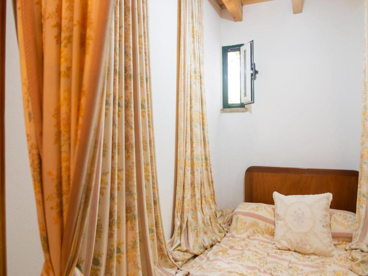 House With Authentic Tiling And Antique Furniture Villa Montemor-o-Novo Exterior photo